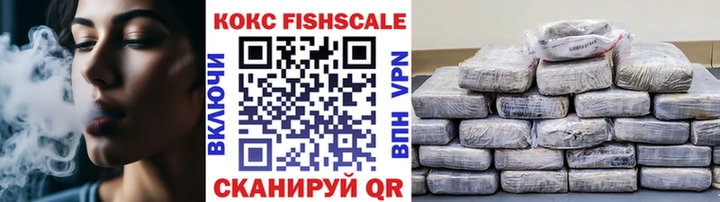 Cocaine FishScale  мега онион  Данков 