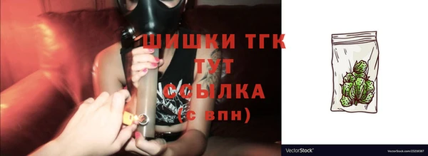 прущие грибы Вяземский